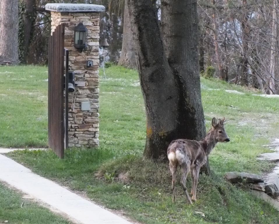 Il Picco * Dronero